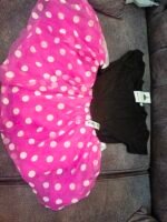 Shein baby girl 
4-5
3_4 - Image 2